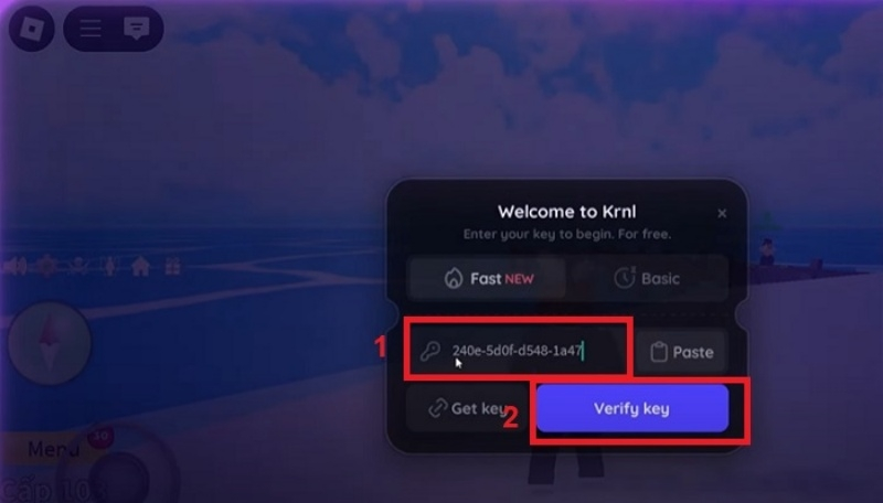 Dán key và Verify Key Krnl VNG