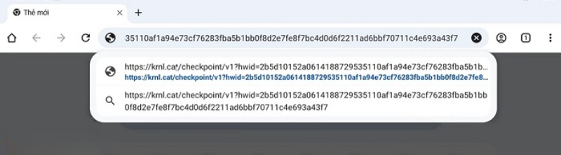 Mở trình duyệt điện thoại và dán link vừa được copy để truy cập Krnl VNG